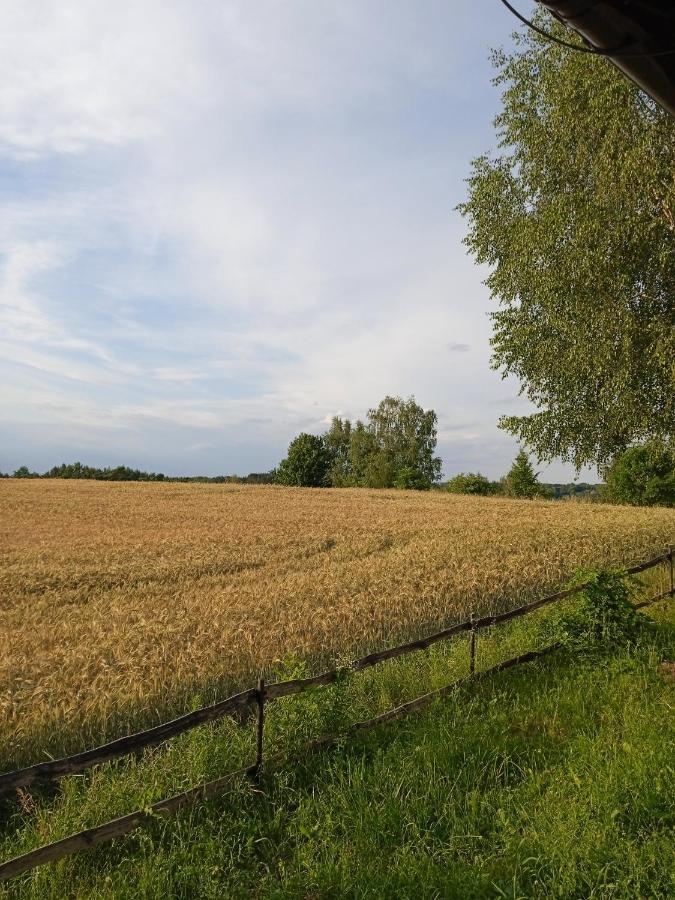 Agroturystyka Lisa Młyn Najmowo Zewnętrze zdjęcie